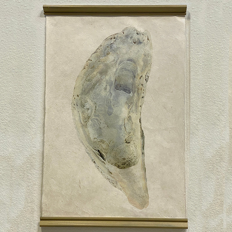 Barloga Oyster Study #5 Print