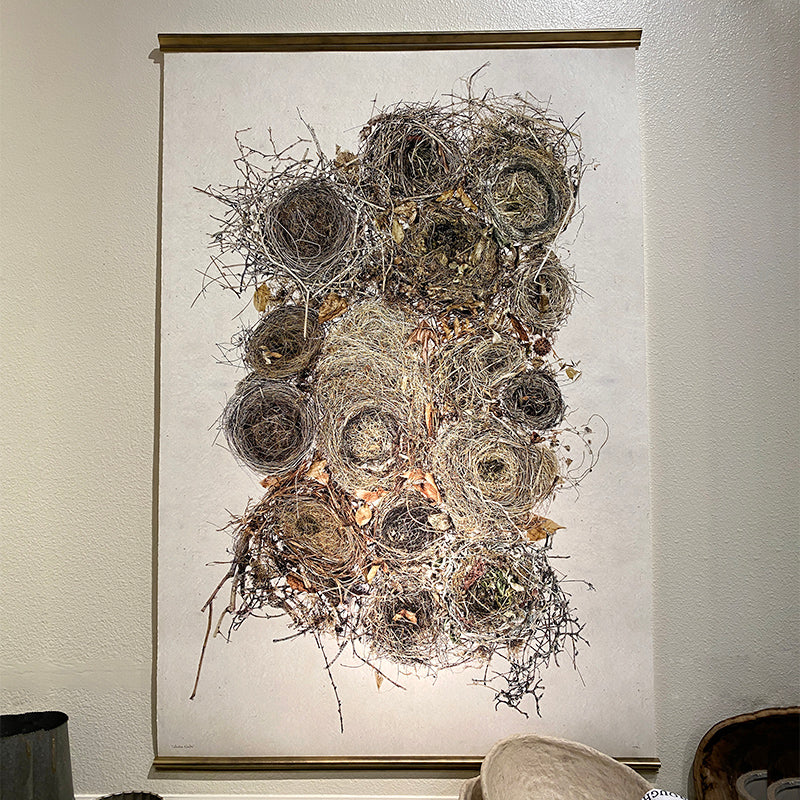 Barloga Collective Nests Print