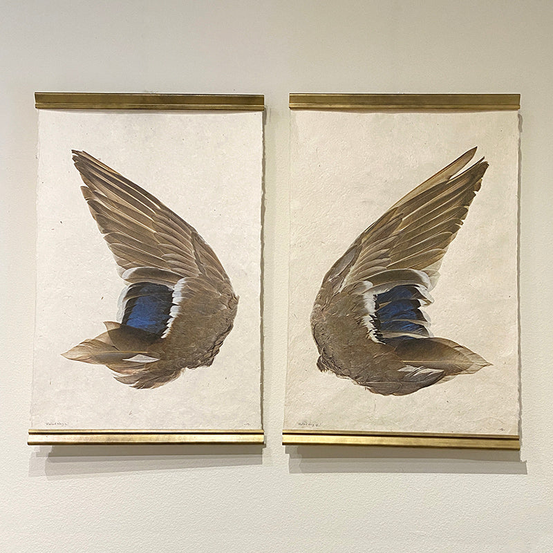 Barloga Mallard Wing Print Set